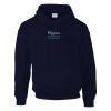 DryBlend® adult hooded sweatshirt Thumbnail